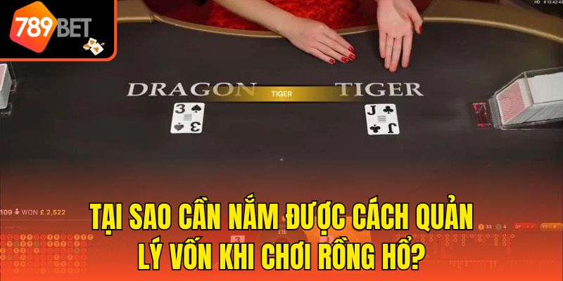 Tại sao cần nắm được cách quản lý vốn khi chơi Rồng Hổ?