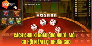 Cách Chơi Xí Ngầu Cho Người Mới - Cơ Hội Kiếm Lợi Nhuận Cao