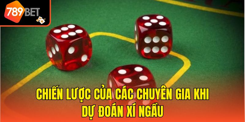 Chiến lược của các chuyên gia khi dự đoán Xí ngầu