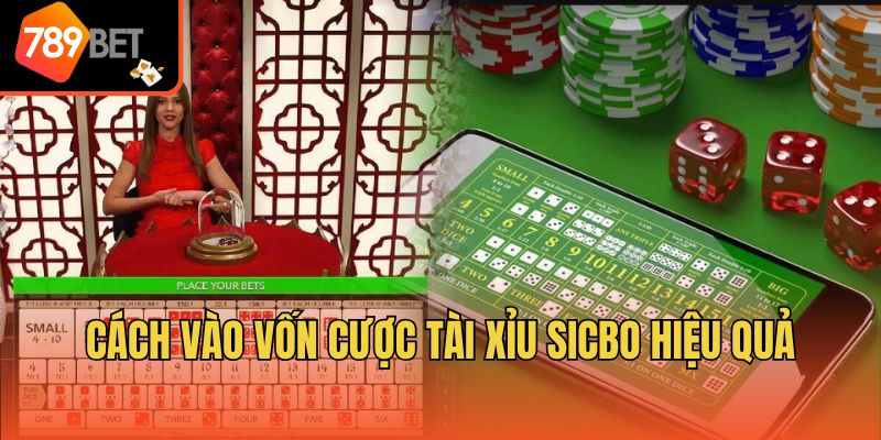 Cách vào vốn cược tài xỉu sicbo hiệu quả