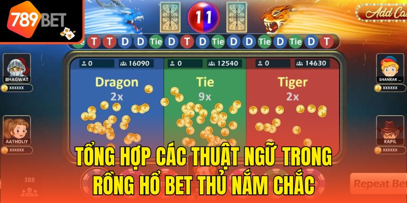 Tổng hợp các thuật ngữ trong Rồng Hổ bet thủ nắm chắc