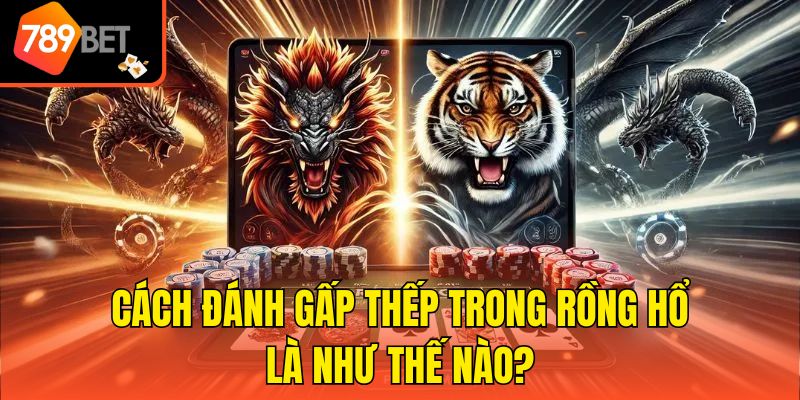 Cách đánh gấp thếp trong rồng hổ là như thế nào?