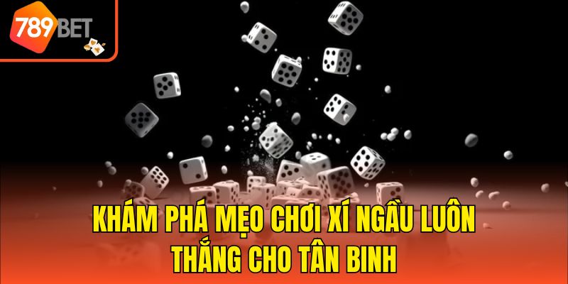 Khám phá mẹo chơi Xí ngầu luôn thắng cho tân binh