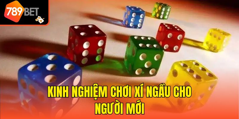 Kinh nghiệm chơi xí ngầu cho người mới
