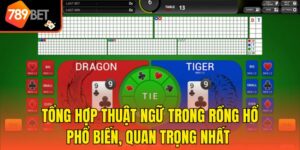Tổng Hợp Thuật Ngữ Trong Rồng Hổ Phổ Biến, Quan Trọng Nhất 