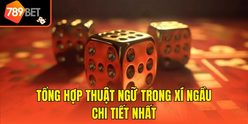 Tổng hợp thuật ngữ trong xí ngầu chi tiết nhất